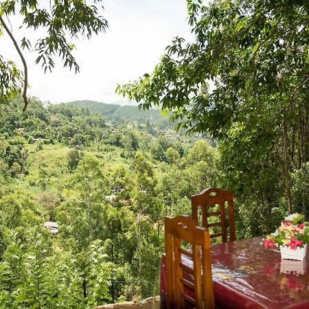 Rose Dale Homestay Ella Esterno foto