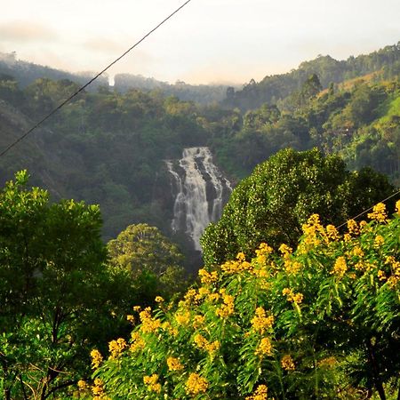 Rose Dale Homestay Ella Esterno foto