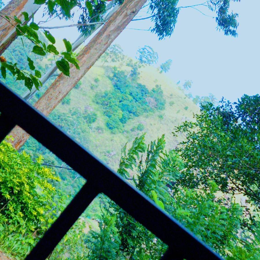 Rose Dale Homestay Ella Esterno foto