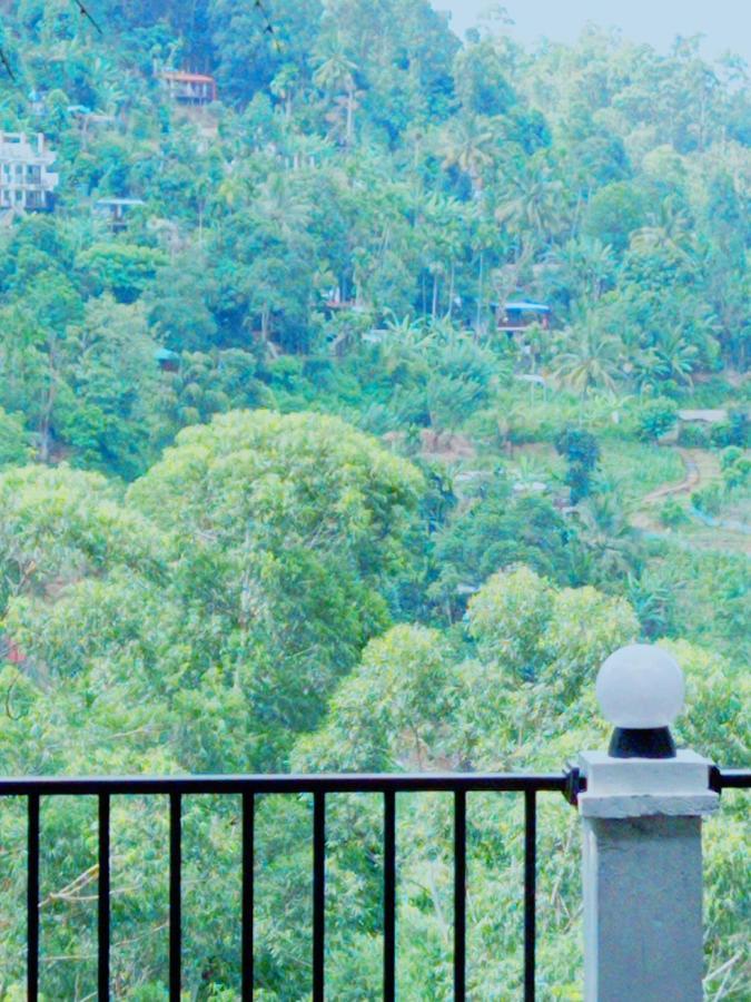 Rose Dale Homestay Ella Esterno foto