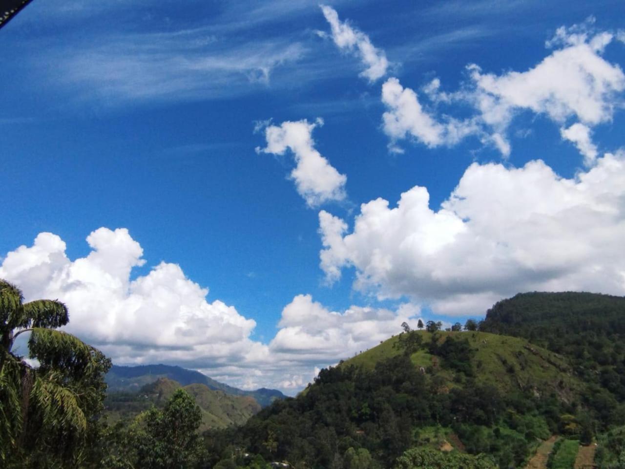 Rose Dale Homestay Ella Esterno foto