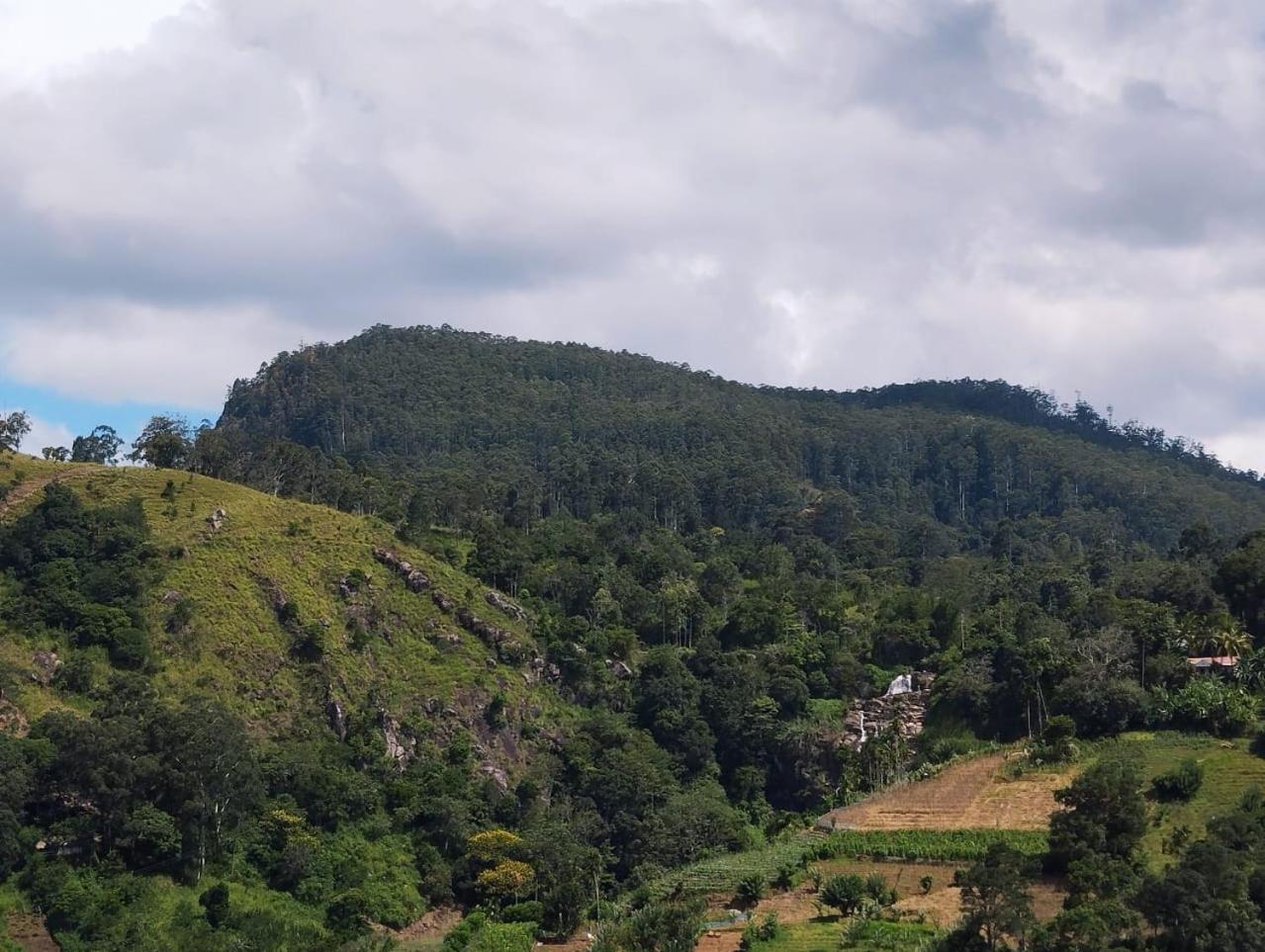 Rose Dale Homestay Ella Esterno foto
