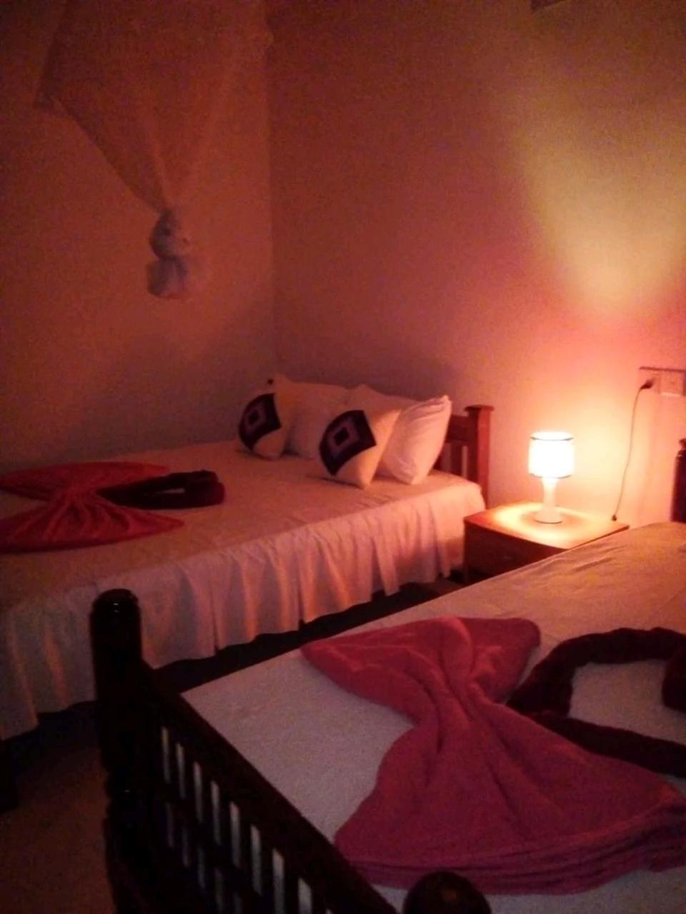 Rose Dale Homestay Ella Esterno foto