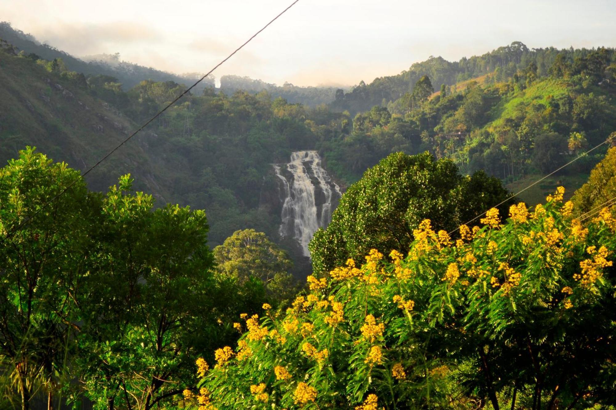 Rose Dale Homestay Ella Esterno foto