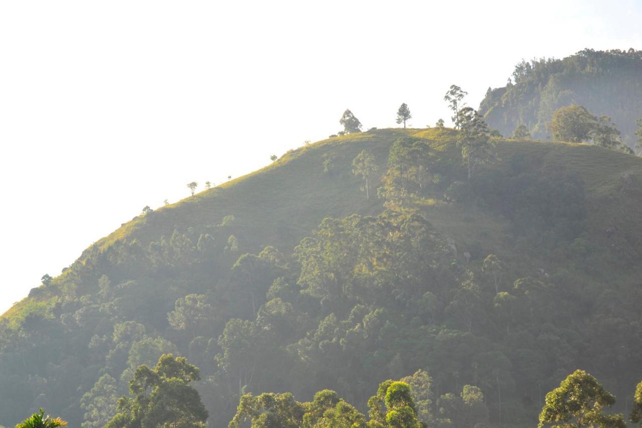 Rose Dale Homestay Ella Esterno foto