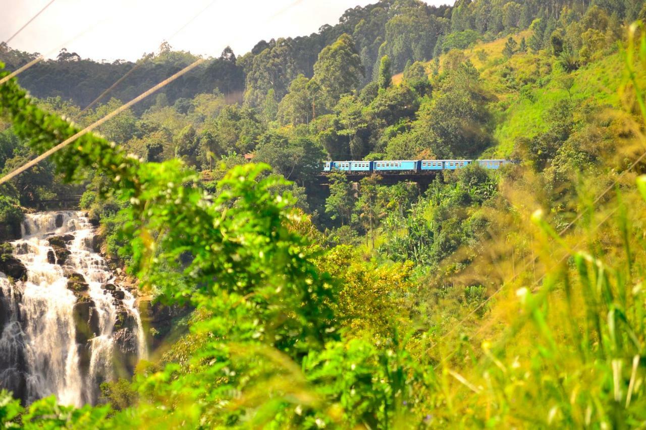 Rose Dale Homestay Ella Esterno foto