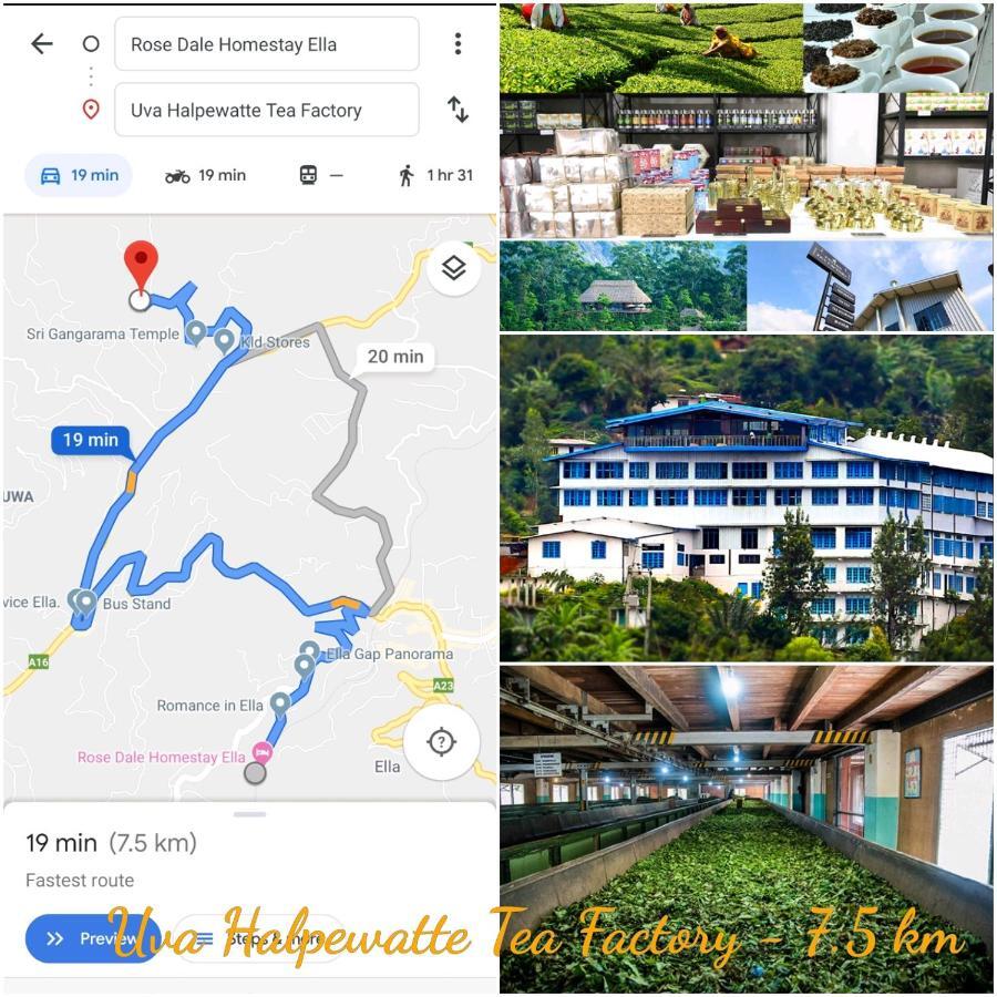 Rose Dale Homestay Ella Esterno foto